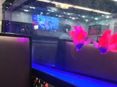 -新辉港式茶餐厅(北栅店)