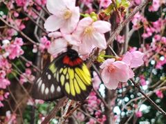 -观澜湖生态运动公社