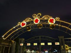 -武汉知音号