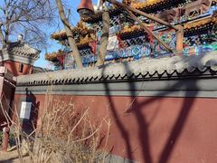 -雍和宫