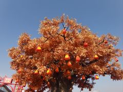 -中华郡文化旅游景区