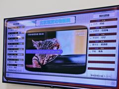 -北京观赏动物医院·24小时大型综合·猫专科·异宠专科