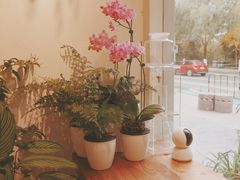 大堂-琥珀咖啡 Ambercoffee