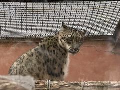 -青藏高原野生动物园