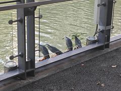 -苏州河梦清园环保主题公园