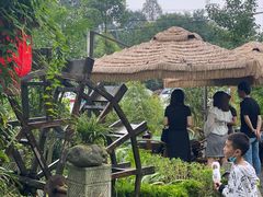 -青城甲(青城山店)