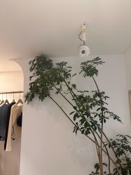 -吾之瑜生瑜伽普拉提学院