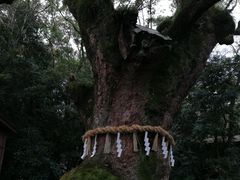 -热田神宫