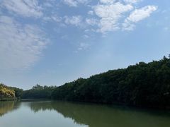 -大湾区中央湿地公园