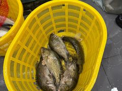 -王四营海鲜市场