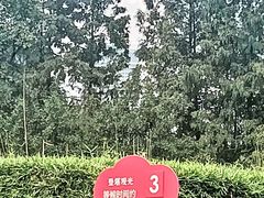 -上海之巅观光厅