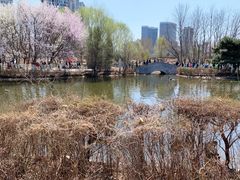 -长白岛森林公园