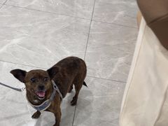 -瑞鹏宠物医院·超声·骨科·奇麟分院(蜀都万达店)