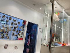 -babydoll猫舍·米努特·德文·缅因(久光中心店)