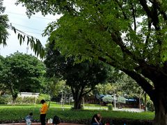 -晓港公园