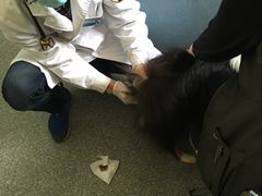 -美联众合动物医院·24h京西诊疗中心