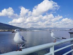 -海埂大坝