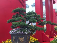 -海心沙亚运公园