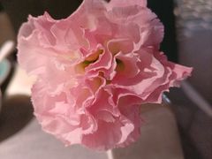 -南堂馆·新川菜(春熙路店)