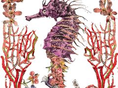 -Jazcu珍仕菓鲜榨果汁(西单大悦城店)