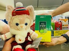 -全日本空输株式会社(上海办事处)