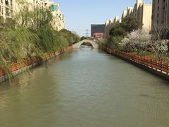 -高东镇樱花园