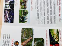 -中国西峡恐龙遗迹园