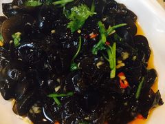 凉拌木耳-四季合味椰子鸡(南山大冲店)