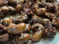 -二当家山庄(崮五路店)