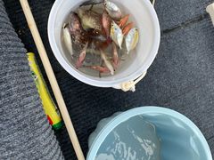 -小猫钓鱼海钓俱乐部(椰梦长廊店)