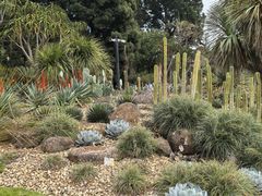 -墨尔本皇家植物园