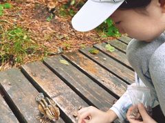 -五营红松林海景区