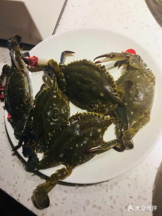 鼎香缘海鲜自助烤涮一体(华南沃特店)小蟹子图片 - 第178张