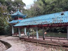 -江西阳明山国家森林公园