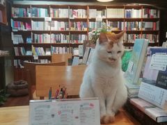 -猫的天空之城概念书店(苏州平江店)
