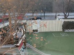 -柠檬国际幼儿园 Bright Academy