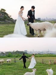 -花漾摄影优选工作室(东莞原创作品店)