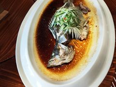 -顺德了能馆(虎门店)