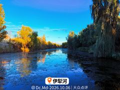 -伊犁河景区