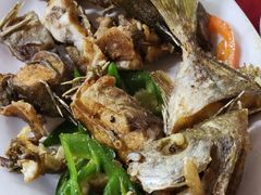 -蛇口康乐快餐鱼仔档(翠苑小区店)