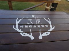 -鹿境梅花鹿生态园区