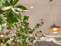 -大家乐(广州天河城六楼店)