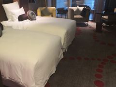 -南京禄口机场雅高铂尔曼大酒店