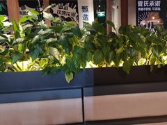 -管氏翅吧(台湾街店)