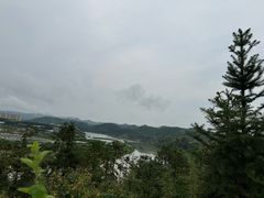 -浔味·山屿湖·正宗全鱼宴老字号