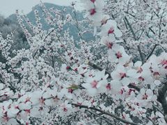 -龙泉峪长城