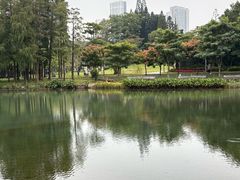 -四海公园(南山区)