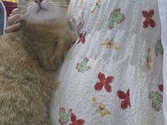 -中农国际动物医院24小时·猫科·骨科·急重症中心