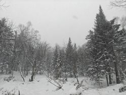 -大秃顶子山
