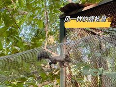 -深圳野生动物园
